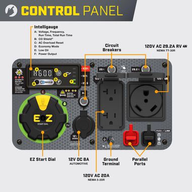 Champion | Electric Start Inverter Dual Fuel Inverter  | 201319 | With CO Shield | 4500W