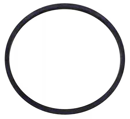 WaterPur | O Ring | OR-A4125 | For CCI-10-CLW Canister