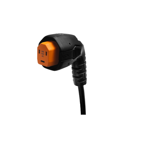 SmartPlug | 30 Amp Cordset | R30303A | 30' | Angled Head