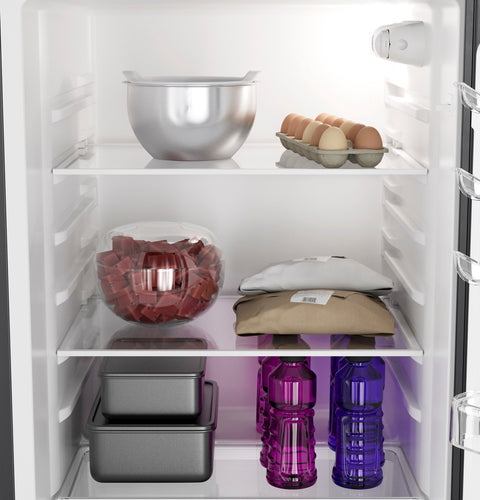 GE Appliances | RV Refrigerator | PPV10R5YRSS | 9.8 Cubic Foot | 12 Volt DC | Stainless Steel