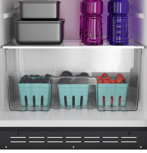 GE Appliances | RV Refrigerator | PPV10R5YRSS | 9.8 Cubic Foot | 12 Volt DC | Stainless Steel