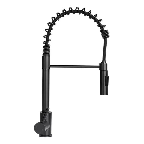 Lippert | Coiled Pull-Down Single Hole Faucet | 2021090598 | Black Matte